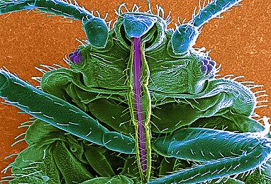 国产游戏《奇迹一刻》正式版在Steam上线 电竞恋爱